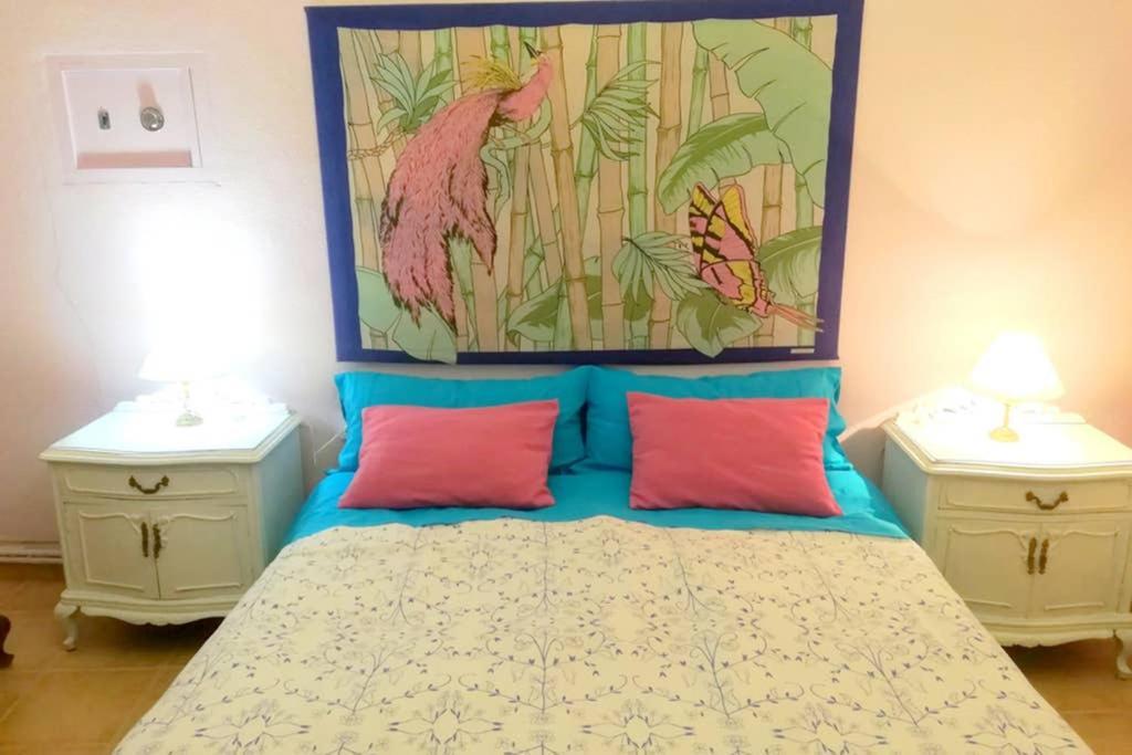Bonito Apartamento Centro Onil Exteriör bild